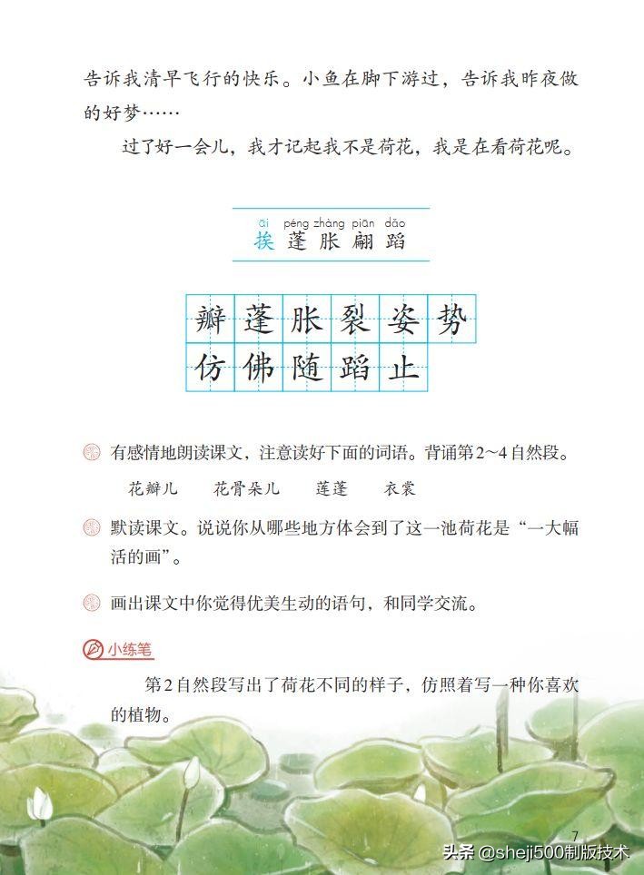 部编版三年级下册语文3荷花讲解,三年级下册部编语文荷花教学视频
