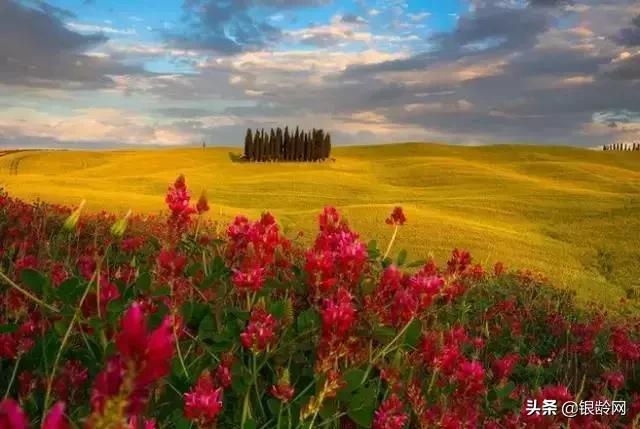 老年人生日发朋友圈短句子,送给老年朋友的心胸宽广的句子