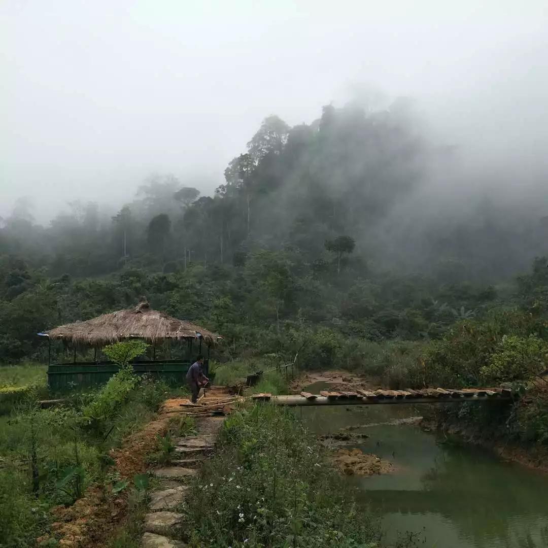 一路艰险一路风景,一路风景1937