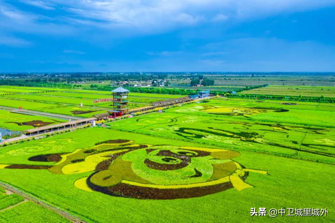 宁夏最穷人口最少的市,宁夏最富的县vs宁夏最穷的县