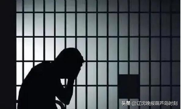 葫芦岛新闻联播今天,葫芦岛晚间新闻