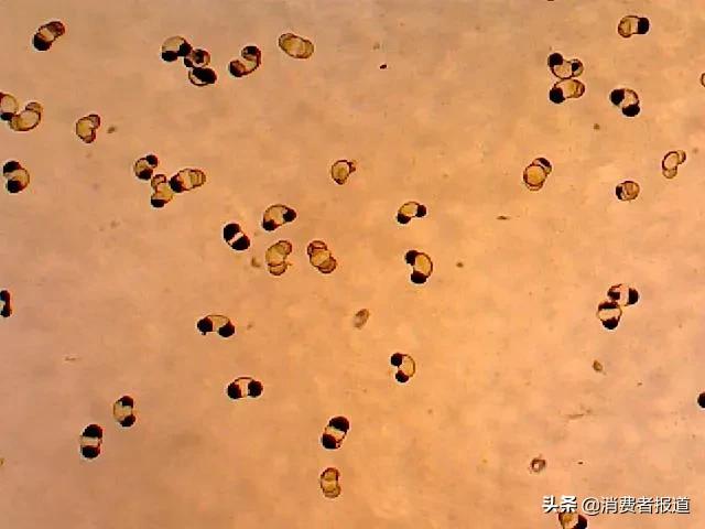 2023破壁机测评排行榜前十名,破壁机测评推荐家用第一名荣事达