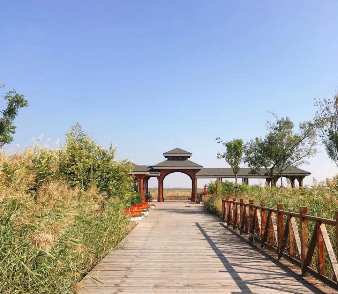 一个不出郑州的踏青好去处,天津春游公园推荐