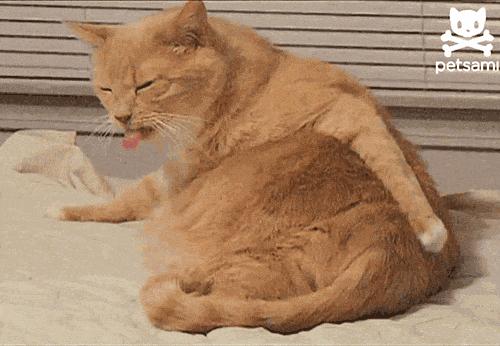 钱包越厚，屁股越痛？这款富贵病康复训练保你入股不亏