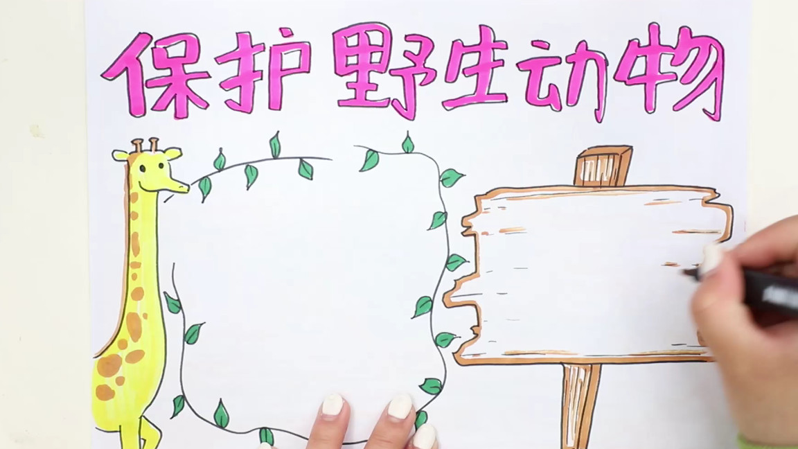 关于野生动物书的手抄报,关于野生动物的手抄报简单漂亮