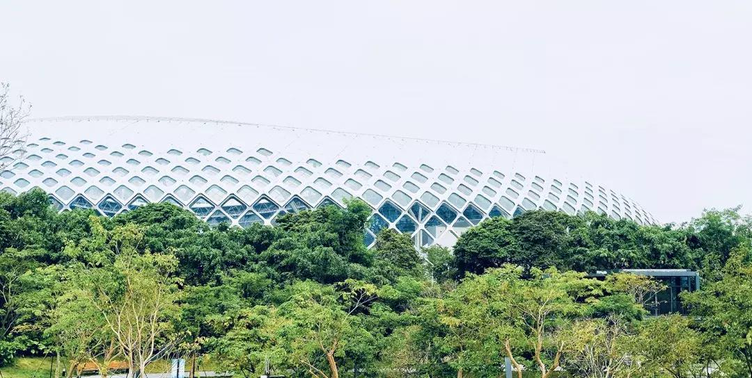 这里是前海完整视频,这里是北京粤语