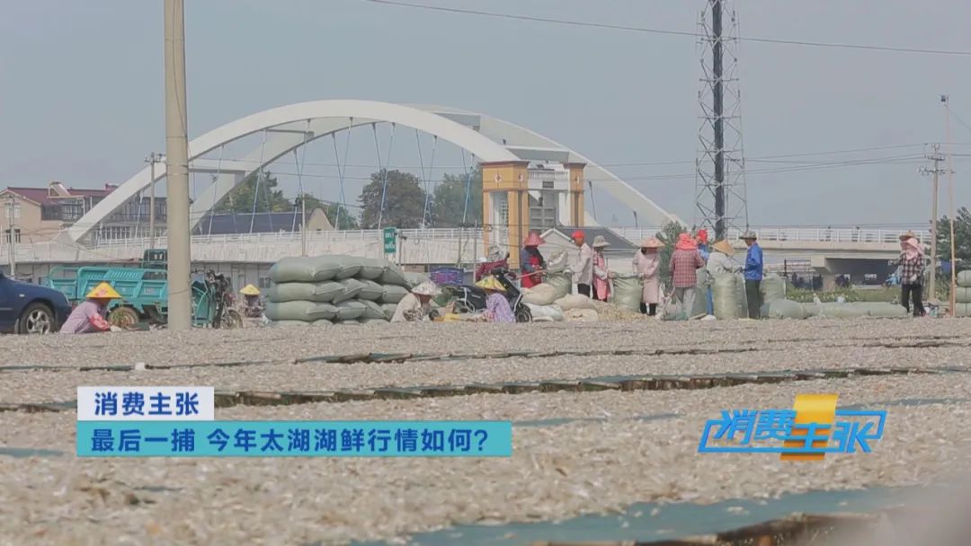 直击太湖开湖现场！鲜美湖鲜大量上市，资深吃货准备好了吗？