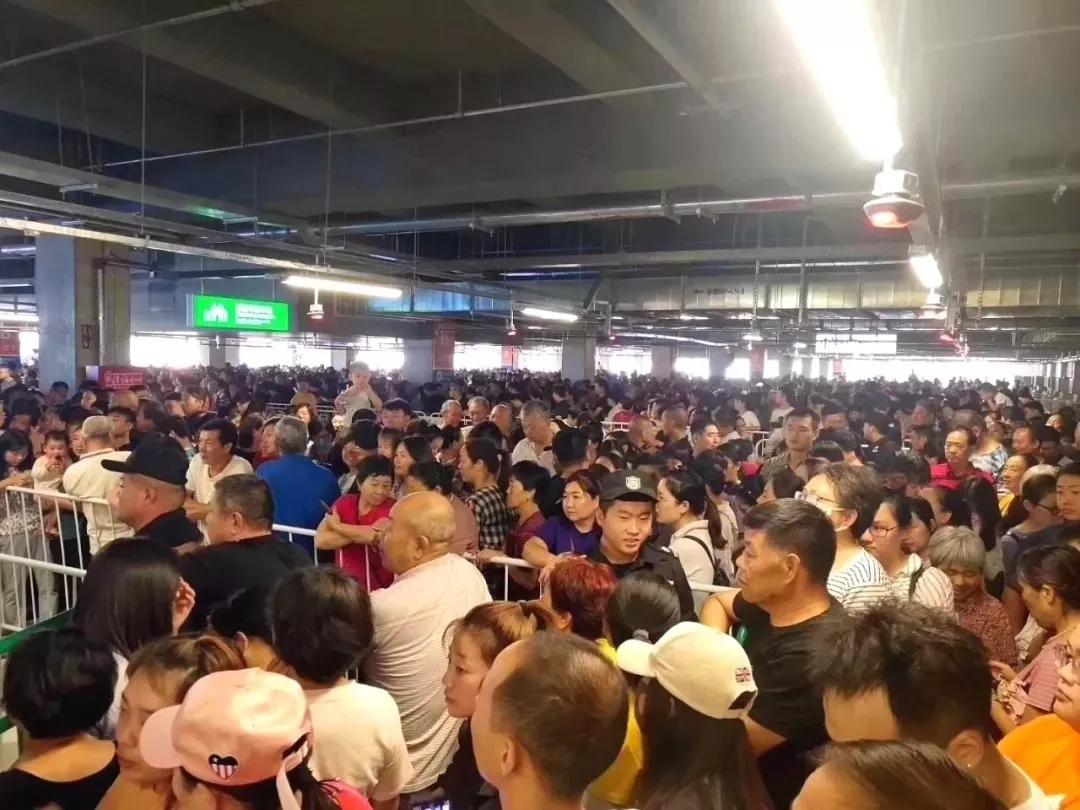 郑州大商金博大现状,郑州金博大商业