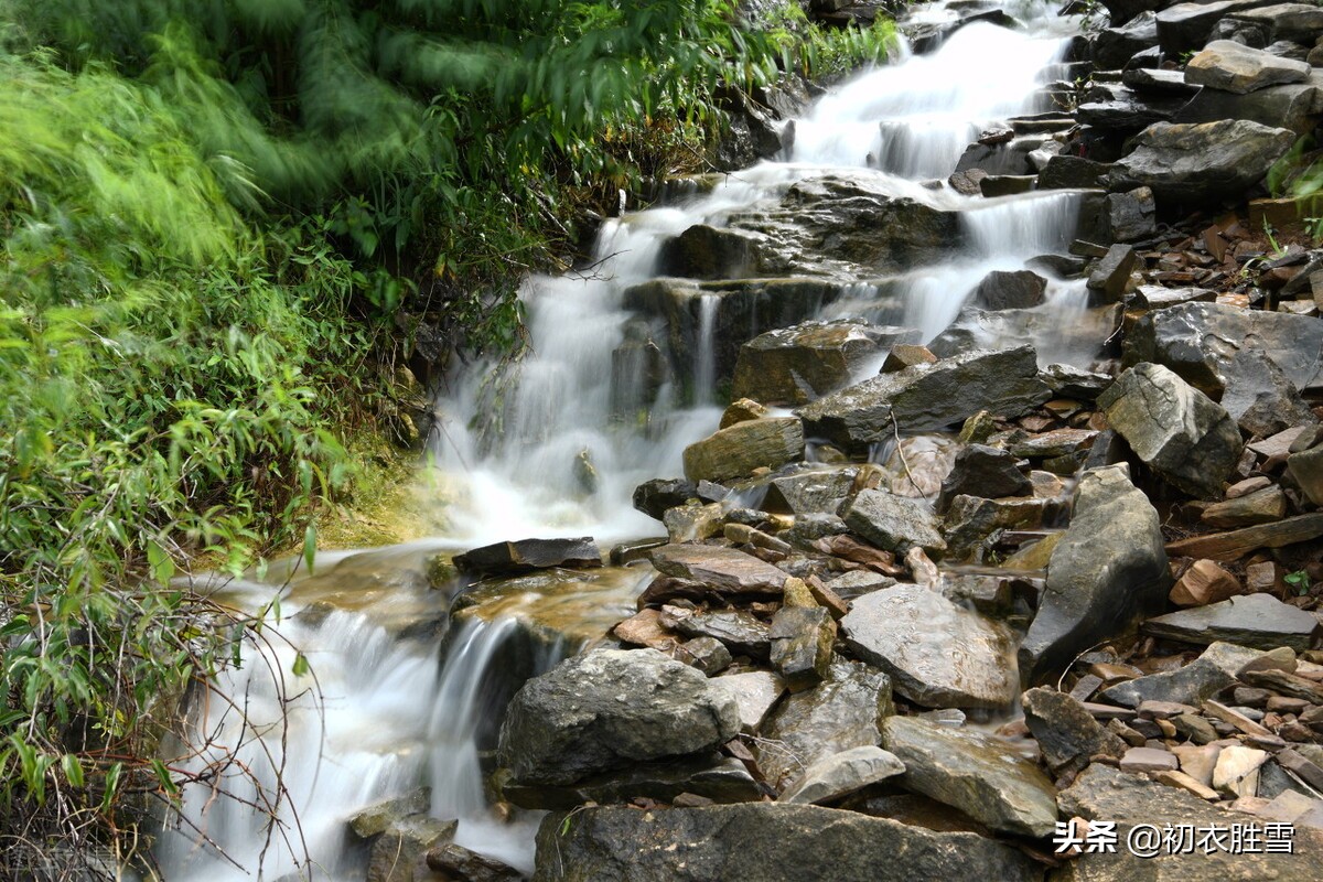 白居易古诗夏,白居易夏日绝句