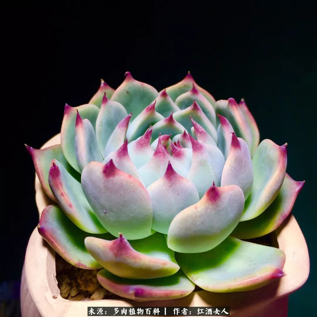 记录走过的美景留下美好的回忆,记录走过的每一段美好时光