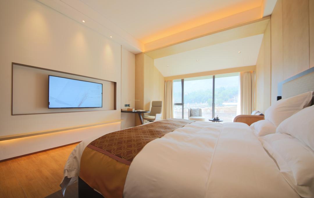 端午节粽享美好,端午节粽享温情