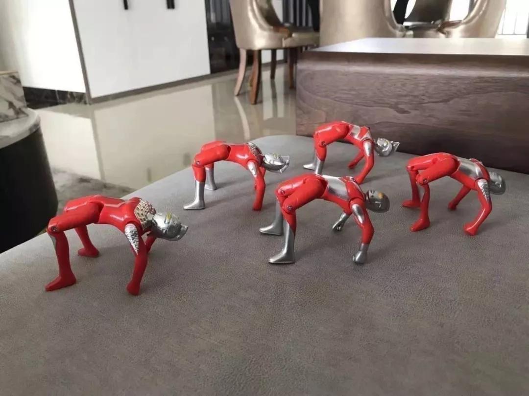 假期第六天的状态,假期第六天