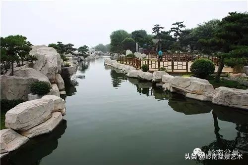 盆景修剪的八个常识,新手直播盆景入门基本知识