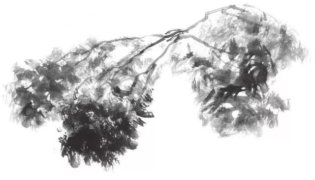 白描荷花100幅画法,荷花的画法白描图