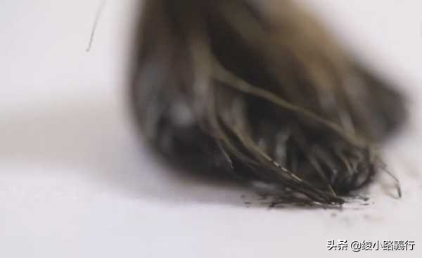 百年一遇的天才、鬼才、异才——怀念“亚洲至宝”漫画家郑问