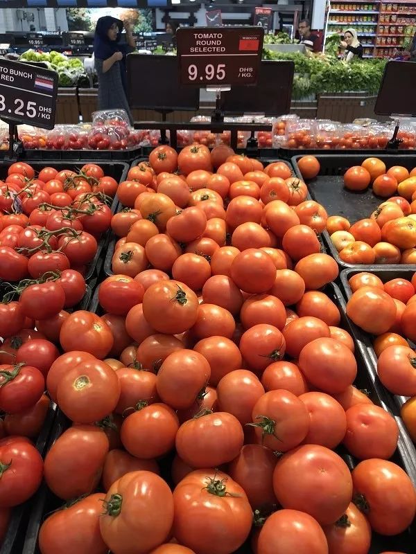 在迪拜怎么降低生活成本,迪拜一周生活成本多少钱