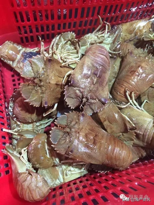 这些诱人的美食你吃过吗,世界上顶级海鲜大全你吃过几种