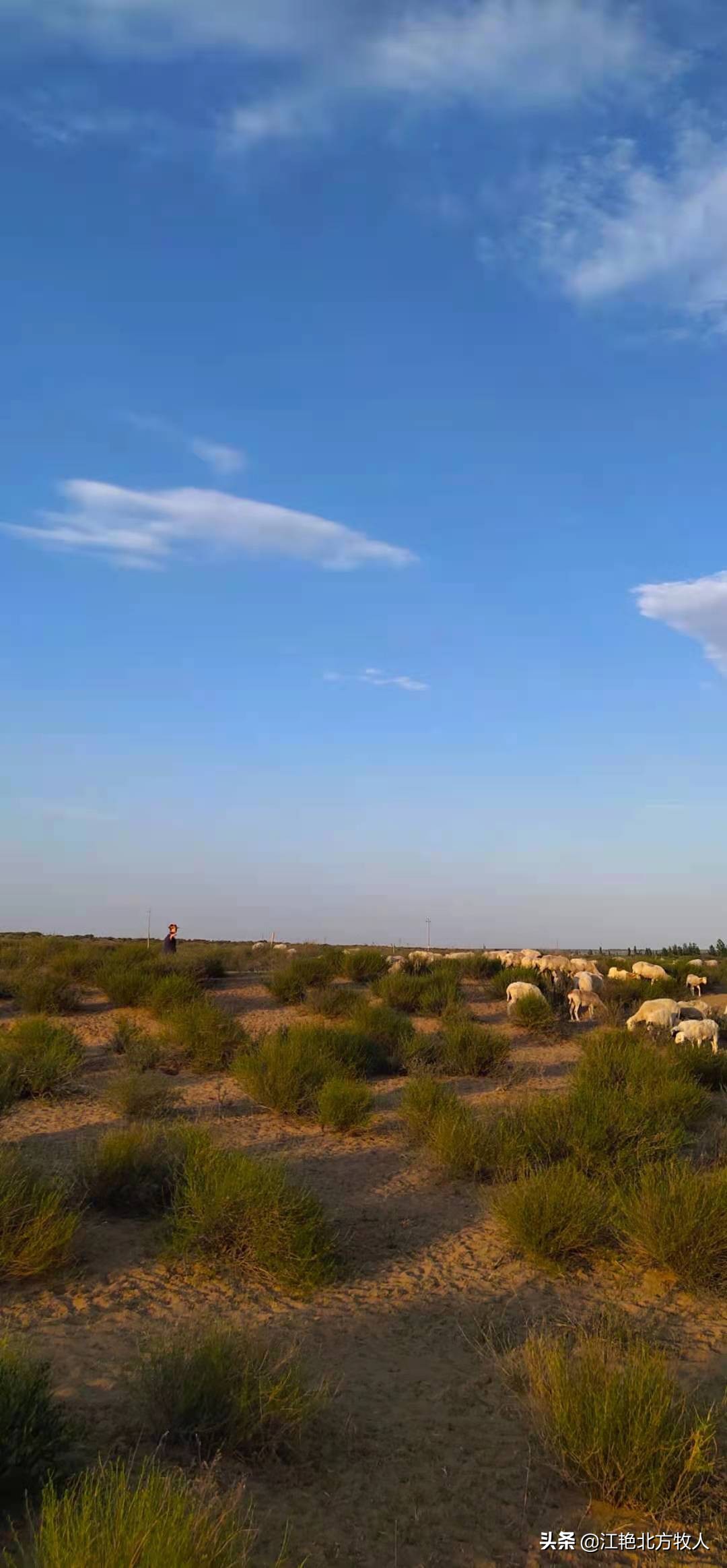 靠养殖到底能不能致富?江艳实话实说,再听听她的致富经