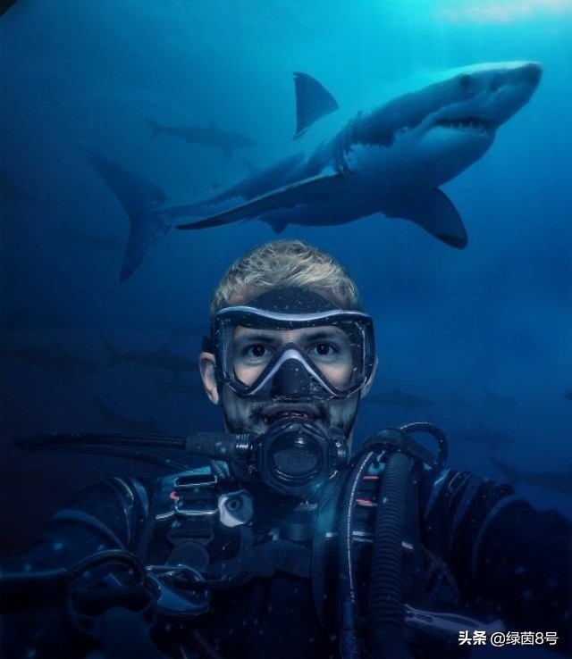 英超球队标志都是什么,英超热刺标志