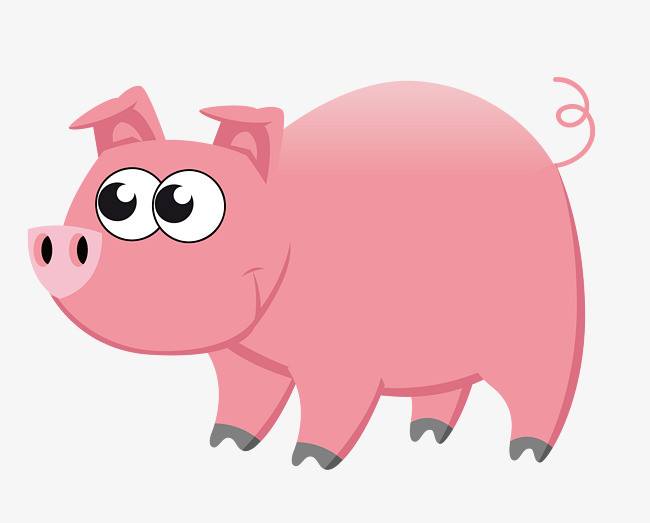 十二生肖属相年份排序对照表高清,十二生肖顺序表及年份五行