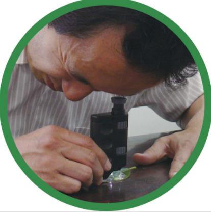 工具放大镜108张锦集