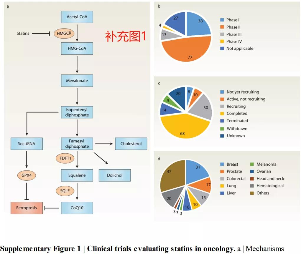 铁死亡研究结果,铁死亡机理