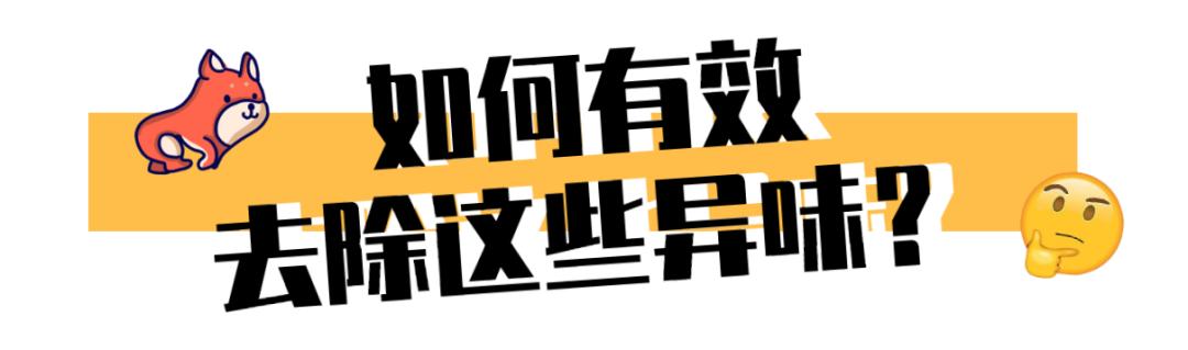狗狗身上有异味脚还臭咋回事,狗狗身上有异味跟狗粮有关系吗