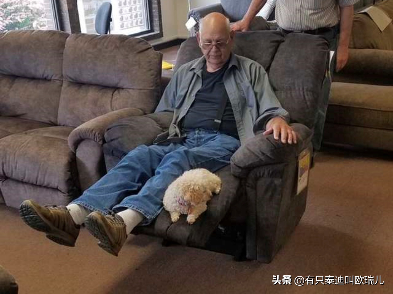 寻找完美沙发！爷带爱犬到家具店一一试躺狗狗：这我买惹