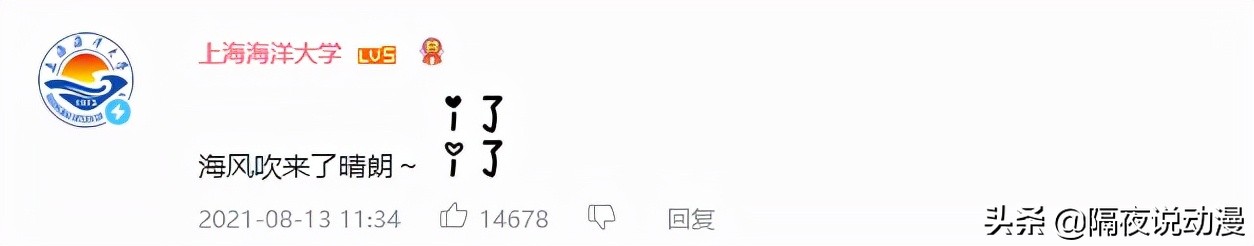 b站鸽王有哪些,b站up主鸽子