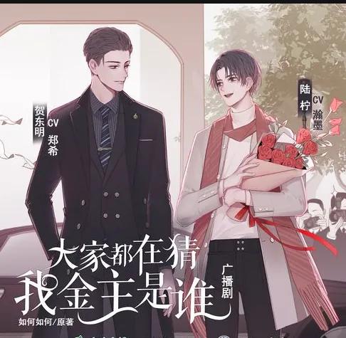 广播剧漫画小说资源包,电子书漫画小说