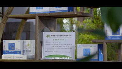 安普20年|员工心中的安普：让人信赖，才会始终追随