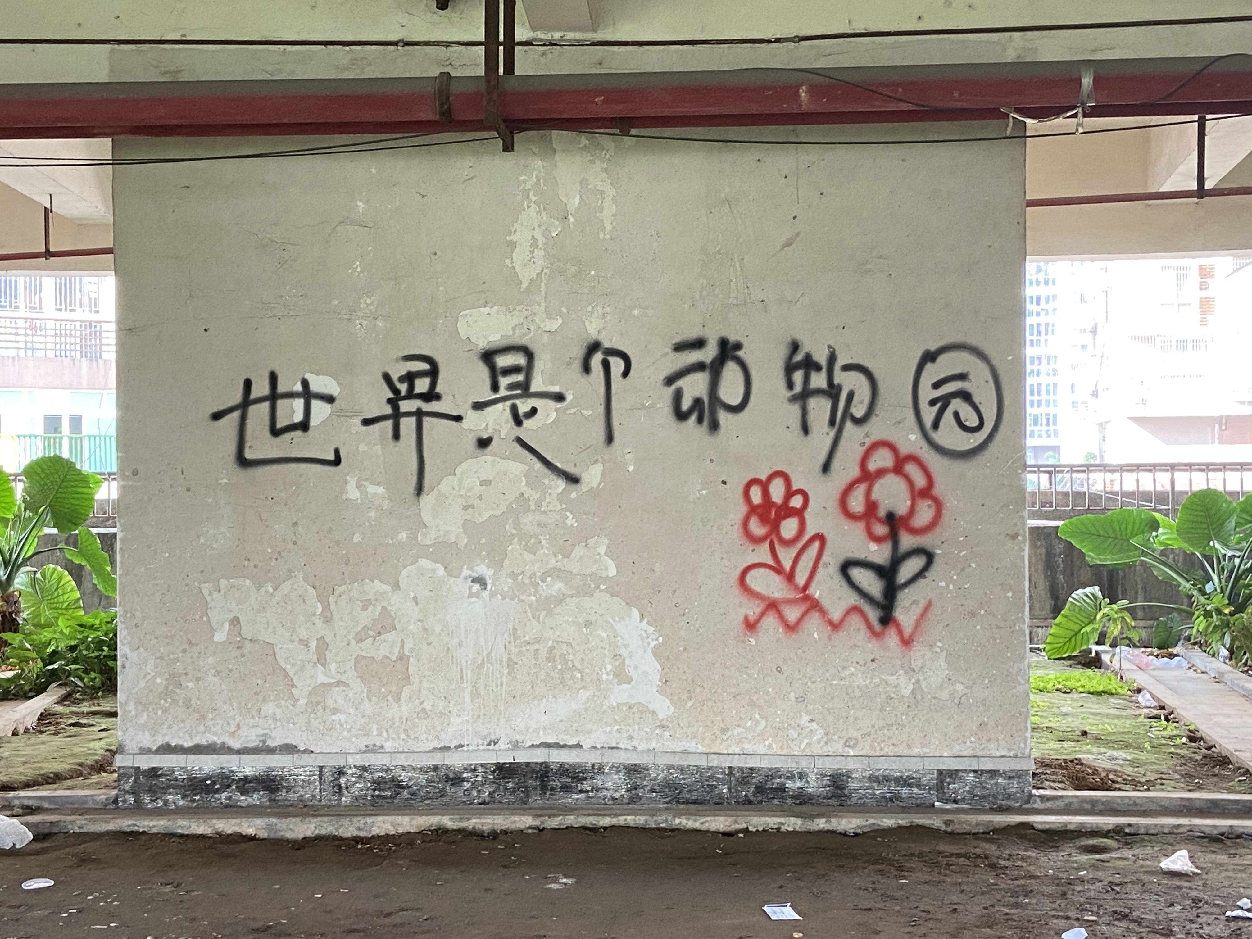 福州小众打卡地推荐,福州很小众的地方