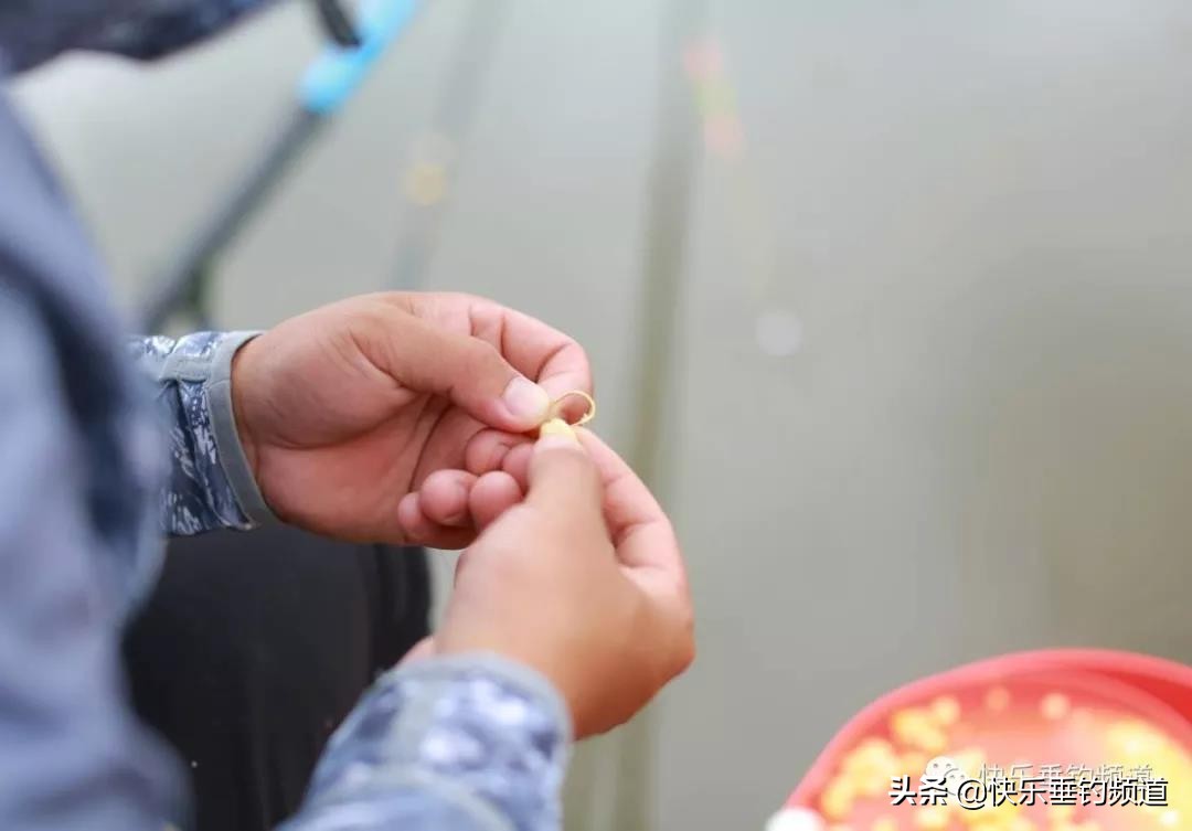 夏季野钓鲫鱼小杂鱼老是闹窝咋办,小杂鱼闹窝野钓大鲫鱼的技巧