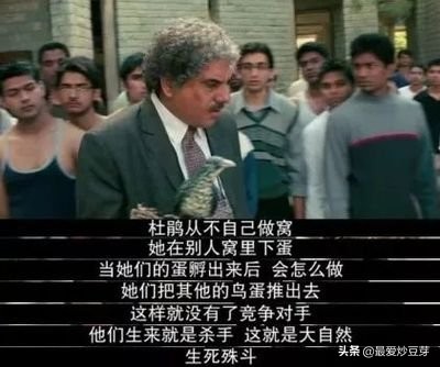 向优秀教师学习怎么和家长沟通,教师该如何有效与家长沟通