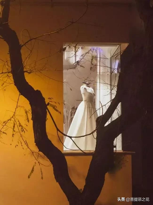 相爱后动物感伤介绍,相爱后的动物感伤时代