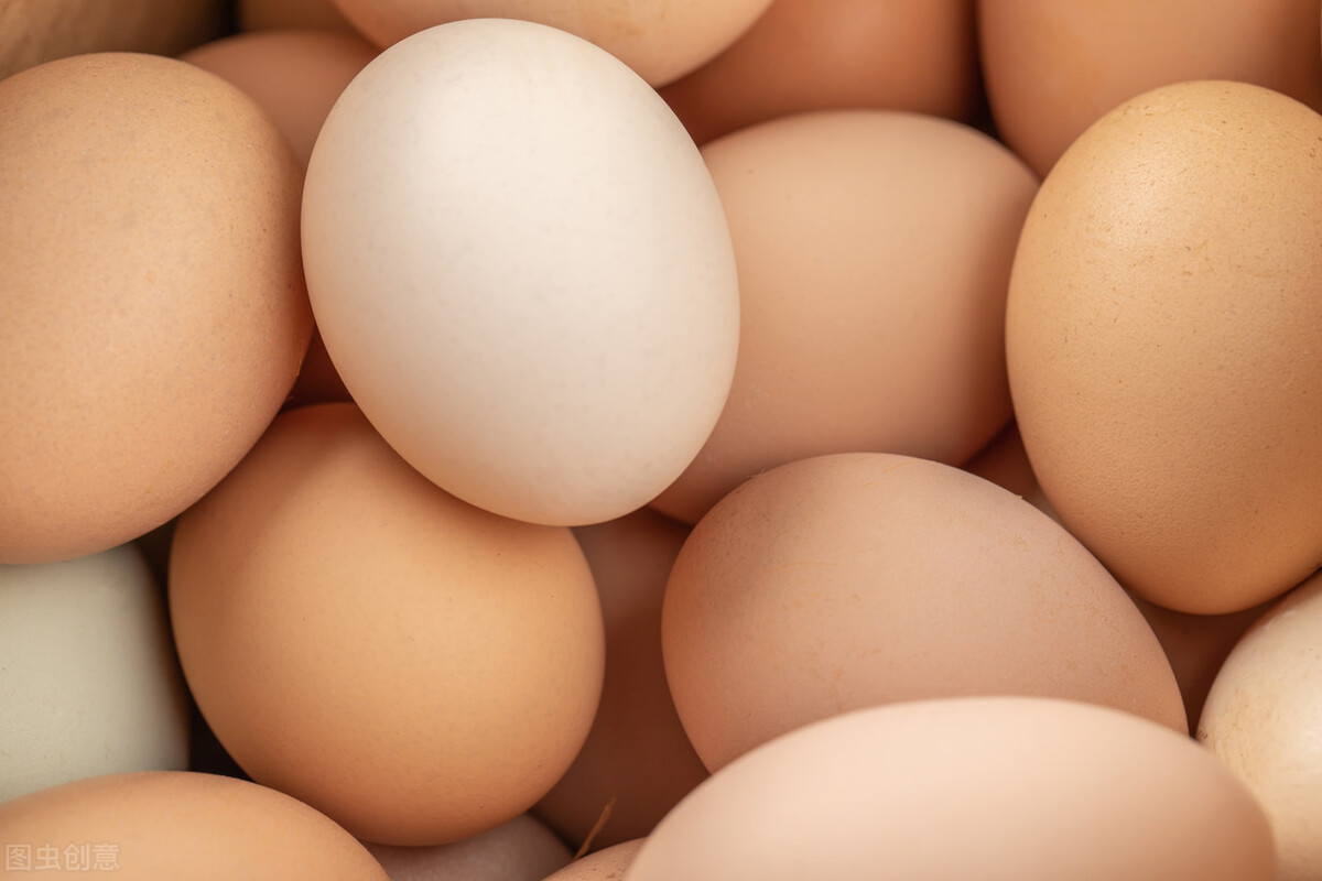 买鸡蛋挑白壳还是红壳,买红壳鸡蛋还是白壳鸡蛋好