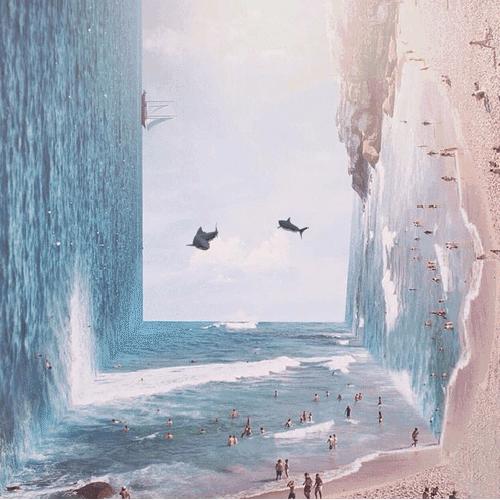 人为什么活着人活着的意义是什么,生命的真谛人活着到底为了什么