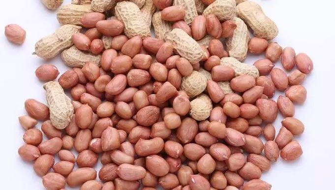 食物引起的过敏性紫癜可以治好吗,过敏性紫癜吃什么容易犯病