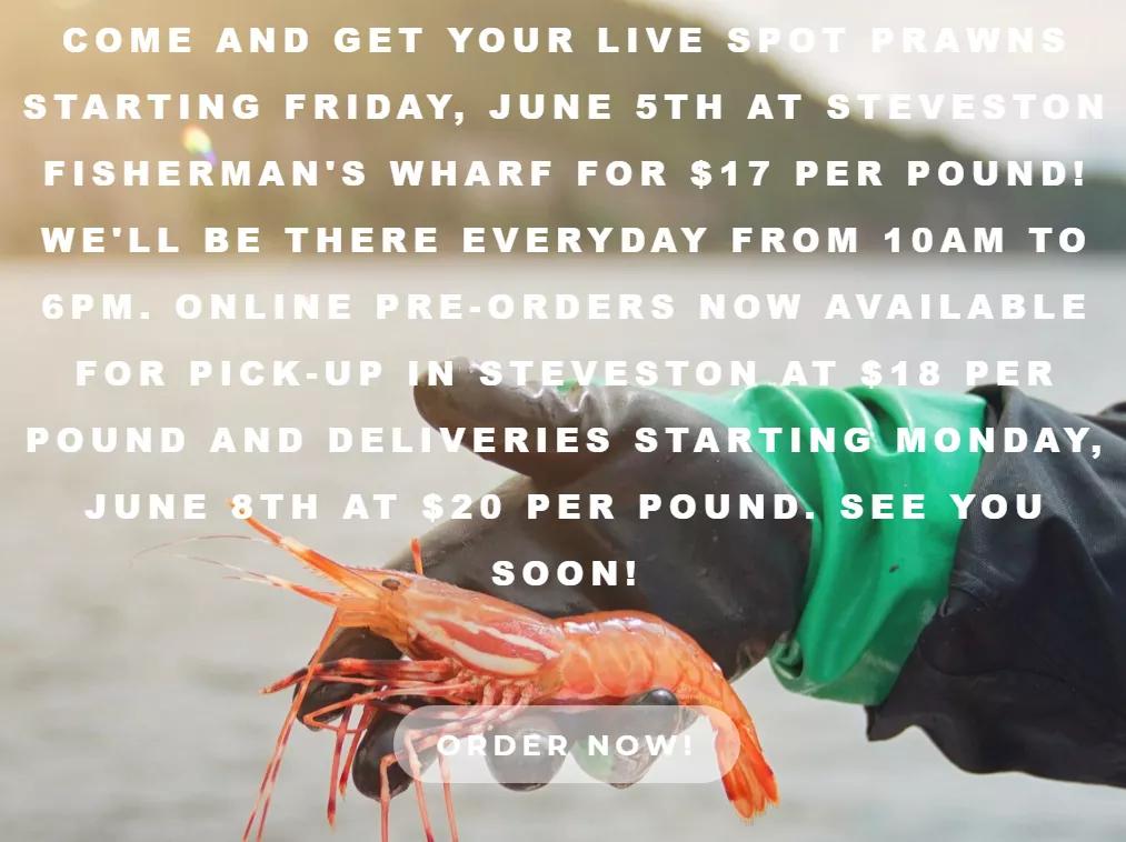 野生斑节虾厦门哪里进货,斑点虾今日价格