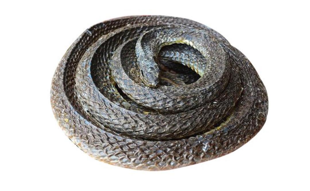 夏季湿气重吃什么排湿最快,祛体内湿毒的最好最快的方法