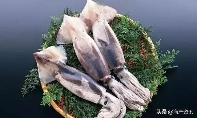 市场上最常见的十种淡水鱼,中国十大水产品排行榜