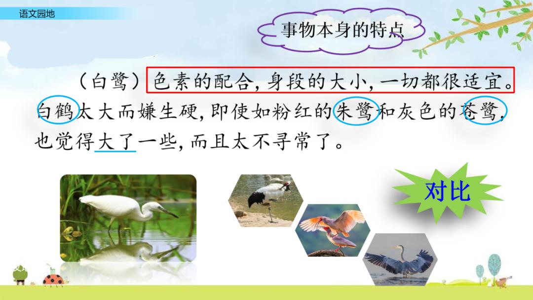 五年级上册语文园地八讲解课件ppt,部编五年级语文上册必考知识点