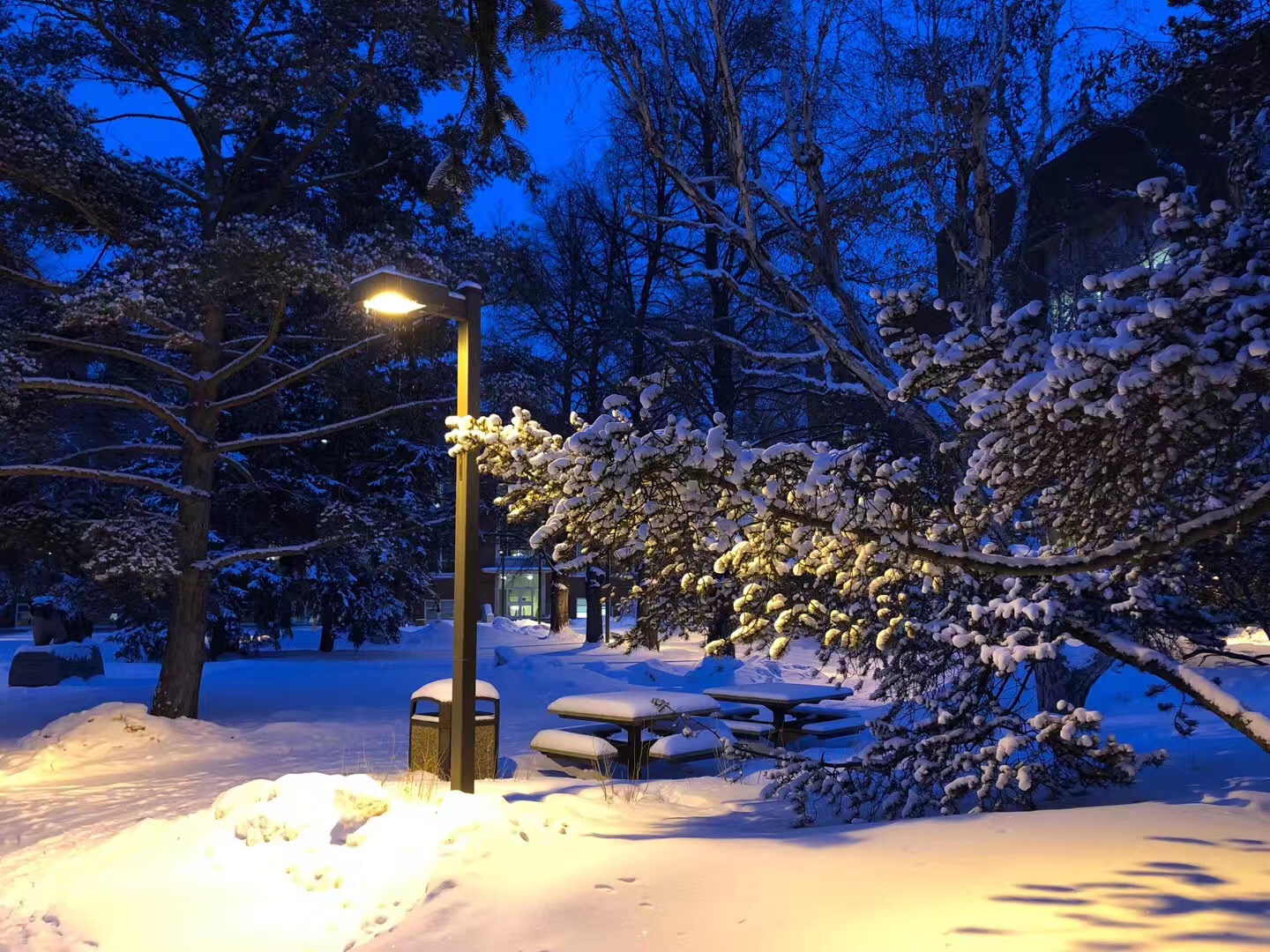 加拿大阿尔伯塔大学排名怎么样,世界名校加拿大阿尔伯塔大学