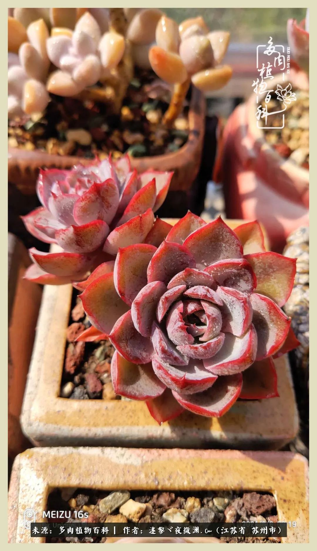 秋尽冬来岁月不居时节如流,岁月不居时节如流水