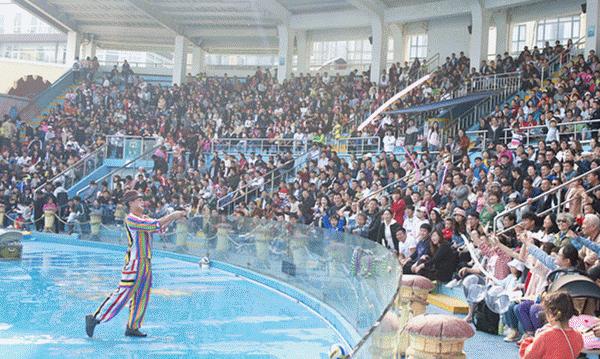 青岛极地海洋世界游玩攻略,青岛极地海洋世界隐藏消费