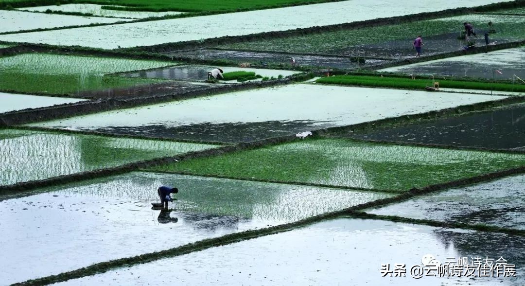 「名家诊诗」高朝先：实例点评话改诗（下）