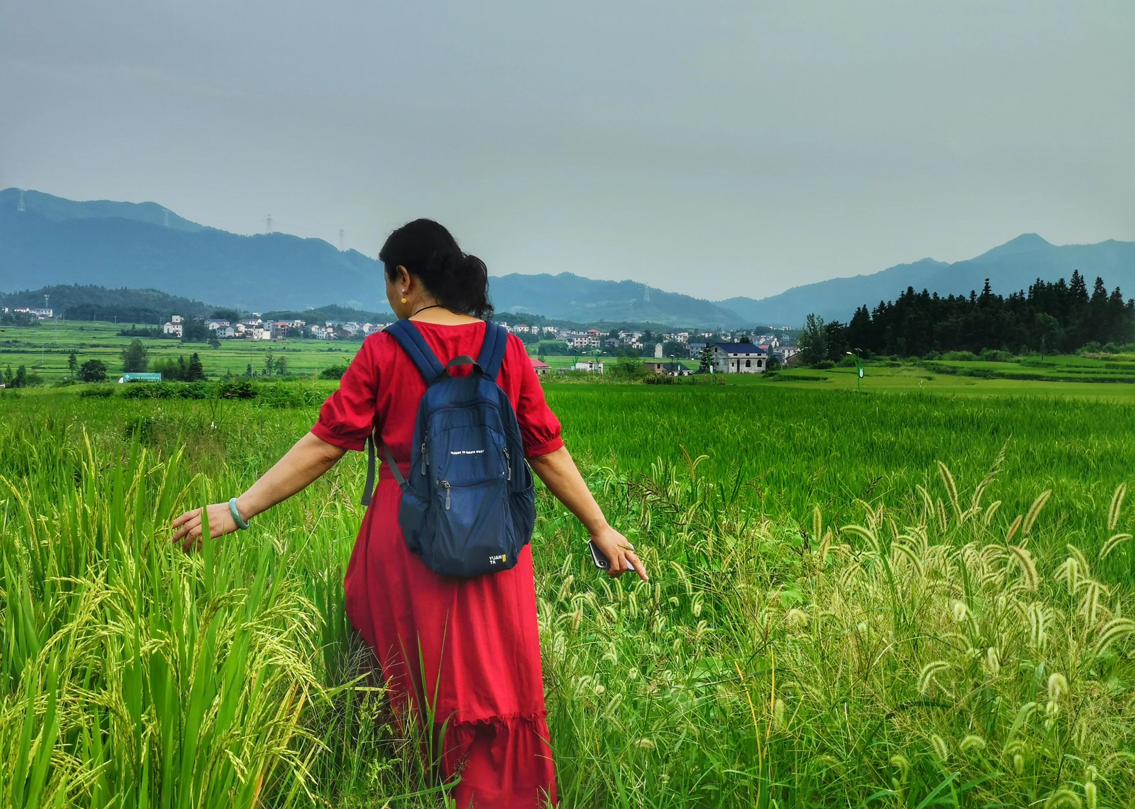 你会去莲花玩吗？我找到了3个“趣味点”，玩了一次跟着喜欢走