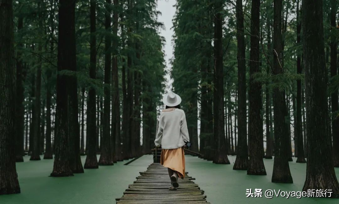 27个世界湿地日,世界湿地之都