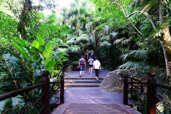海南呀诺达热带雨林文化旅,三亚诺达雨林旅游攻略