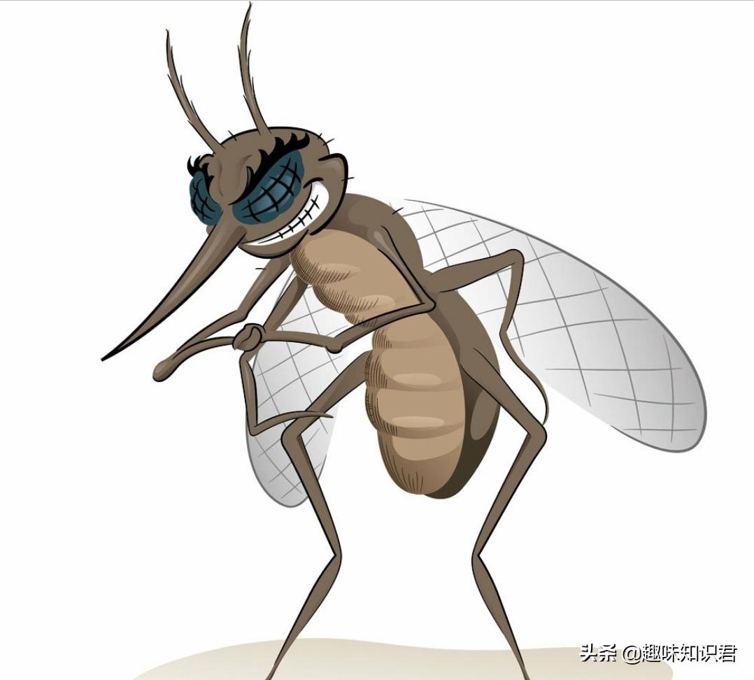 十大稀奇古怪冷知识,稀奇古怪冷知识第314期